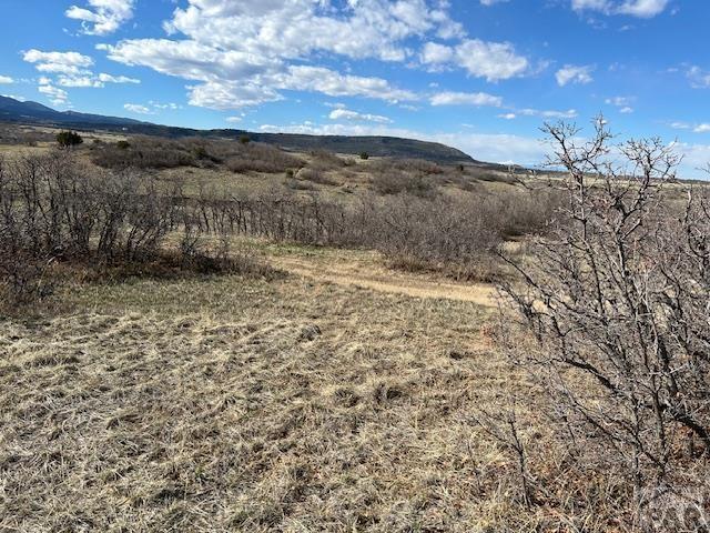 Lot 216 Stoelinga Drive Rye, CO 81069 - Photo 12 of 18