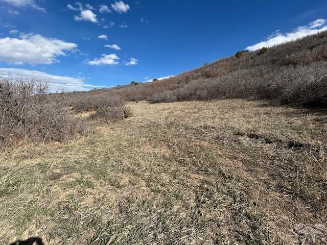 Lot 216 Stoelinga Drive Rye, CO 81069 - Photo 4 of 18