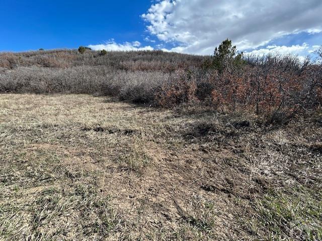 Lot 216 Stoelinga Drive Rye, CO 81069 - Photo 5 of 18