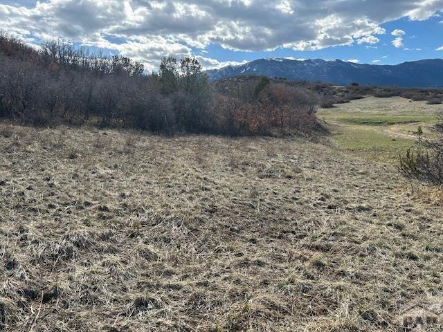 Lot 216 Stoelinga Drive Rye, CO 81069 - Photo 6 of 18