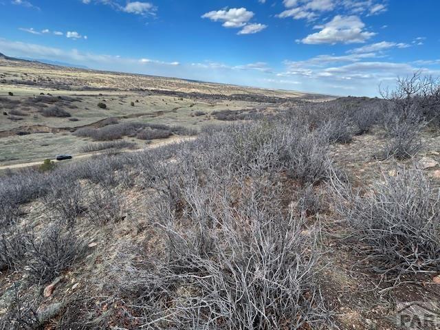 Lot 216 Stoelinga Drive Rye, CO 81069 - Photo 8 of 18