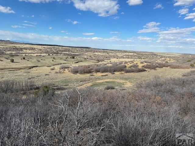 Lot 216 Stoelinga Drive Rye, CO 81069 - Photo 9 of 18