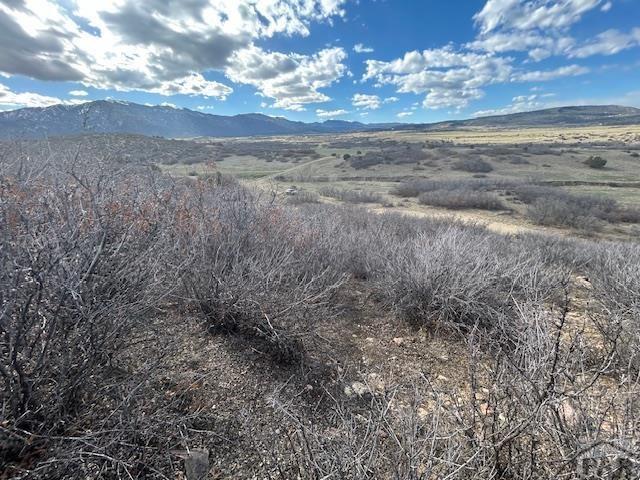 Lot 216 Stoelinga Drive Rye, CO 81069 - Photo 10 of 18