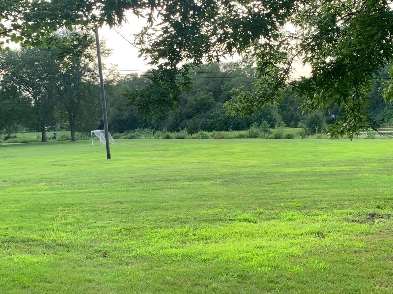 Lot 11 Ellis Avenue Carol Stream, IL 60188 - Photo 2 of 6