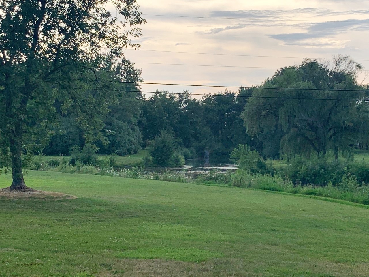 Lot 11 Ellis Avenue Carol Stream, IL 60188 - Photo 5 of 6