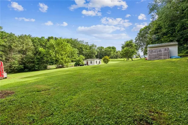 a view of a trees with a yard