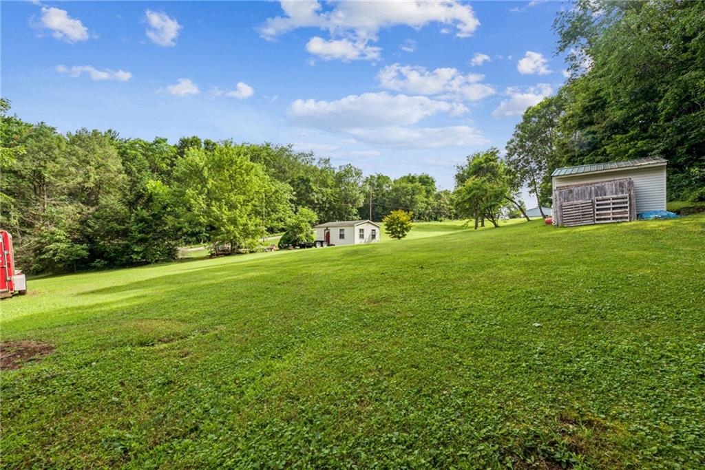 517 Atlantic Road Derry, PA 15627 - Photo 3 of 5 a view of a trees with a yard
