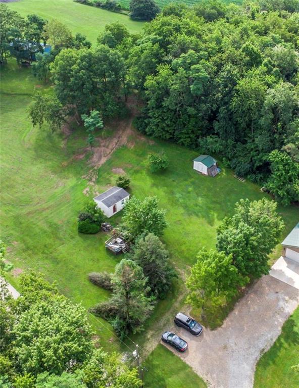 517 Atlantic Road Derry, PA 15627 - Photo 5 of 5 a lush green forest with lots of trees