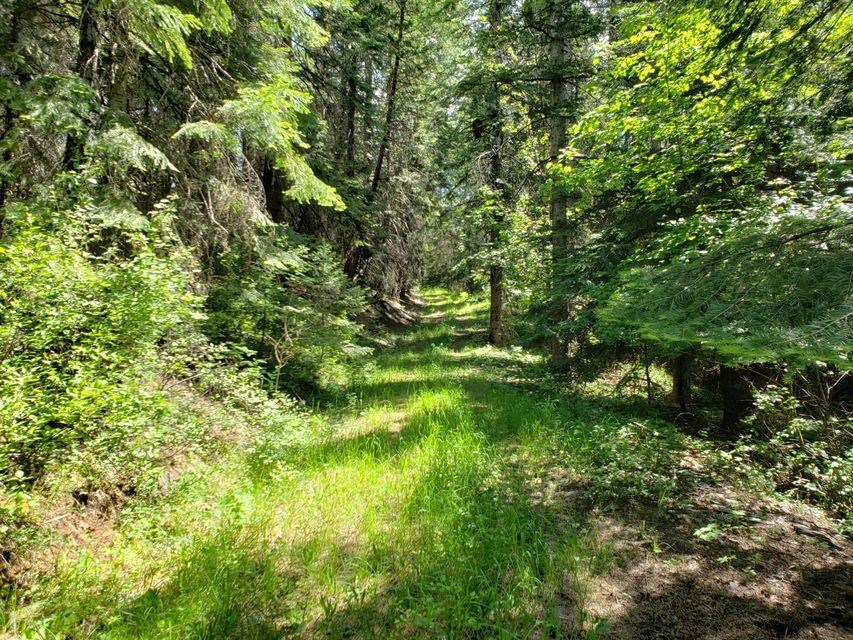 503 X Rose Hill Road Springdale, WA 99173 - Photo 1 of 18