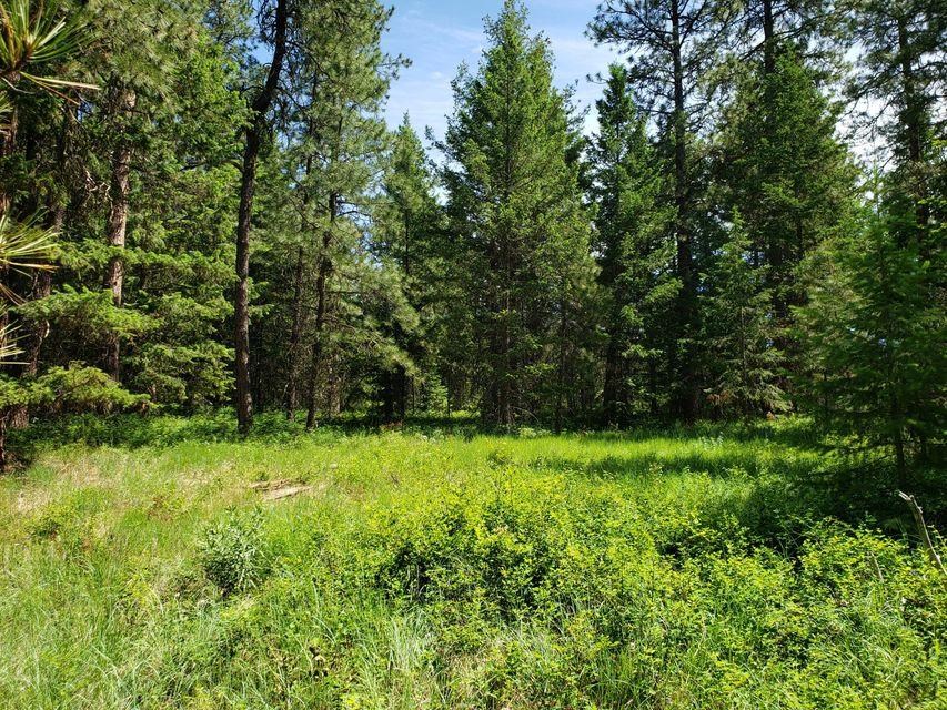 503 X Rose Hill Road Springdale, WA 99173 - Photo 11 of 18