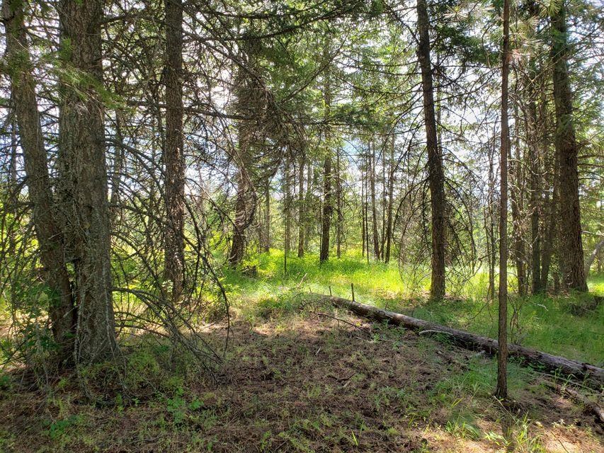 503 X Rose Hill Road Springdale, WA 99173 - Photo 12 of 18