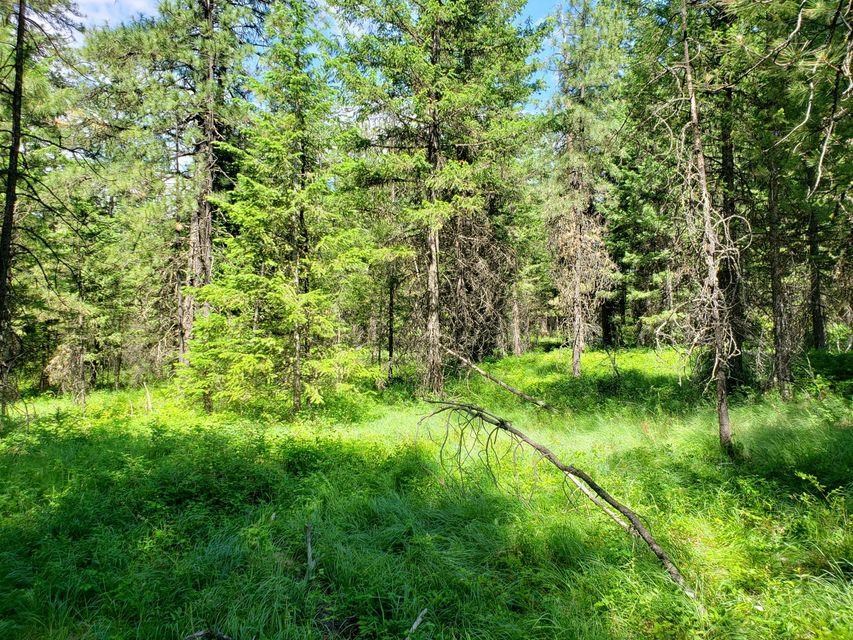 503 X Rose Hill Road Springdale, WA 99173 - Photo 14 of 18