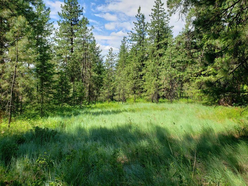 503 X Rose Hill Road Springdale, WA 99173 - Photo 15 of 18