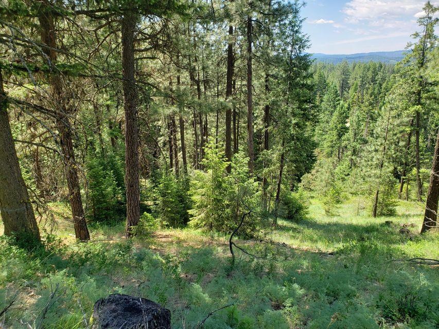503 X Rose Hill Road Springdale, WA 99173 - Photo 16 of 18