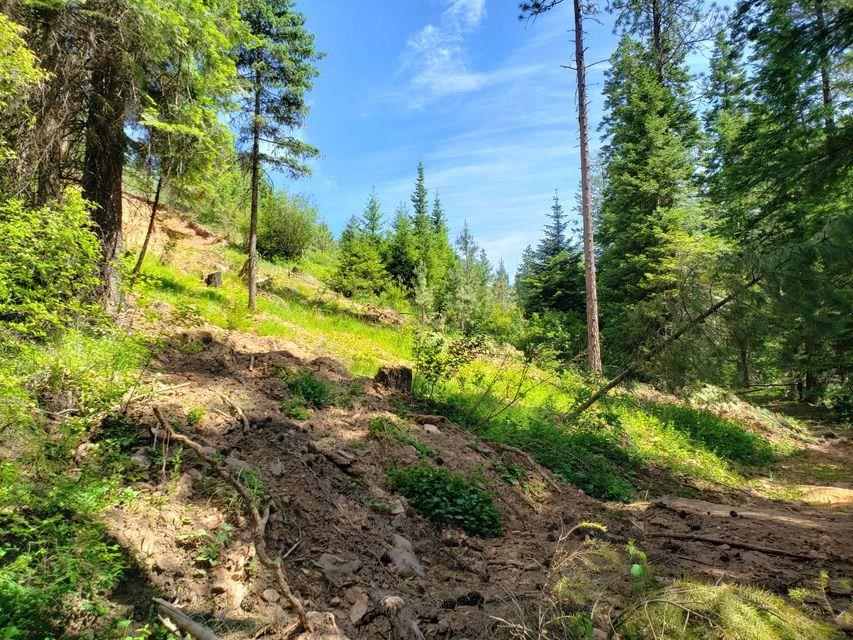 503 X Rose Hill Road Springdale, WA 99173 - Photo 5 of 18