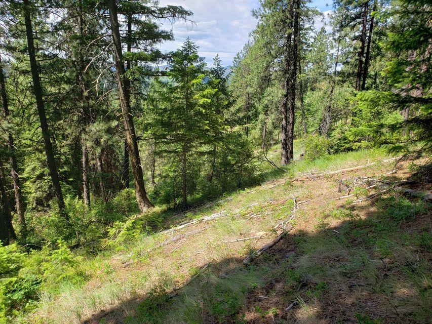 503 X Rose Hill Road Springdale, WA 99173 - Photo 9 of 18