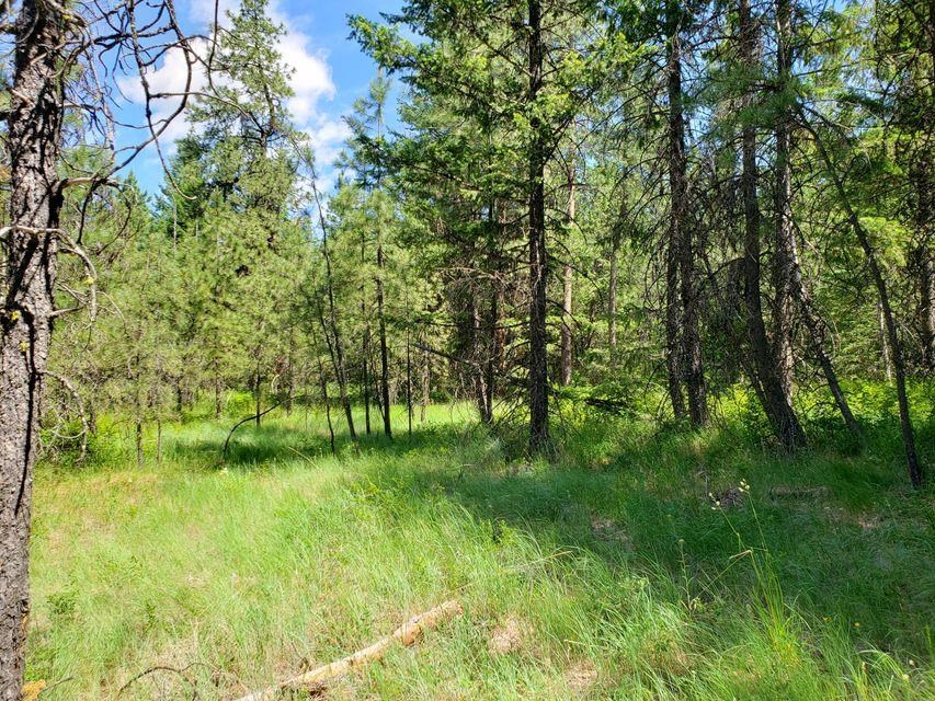 503 X Rose Hill Road Springdale, WA 99173 - Photo 10 of 18
