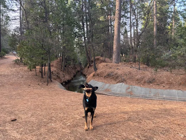 $335,000 | 24214 Ox Bow Lane North, Sonora, CA 95370