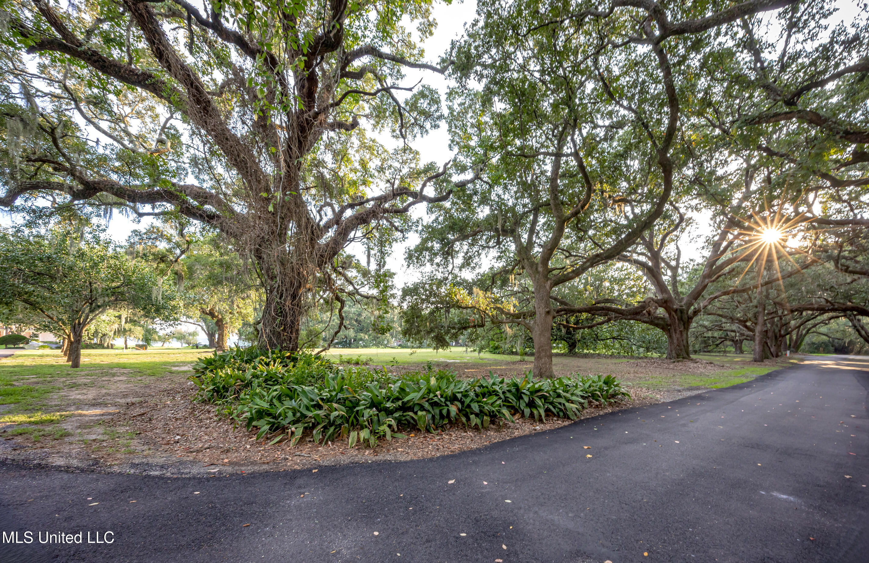 Lot 7 Pointe Aux Chenes Road Ocean Springs, MS 39564 - Photo 11 of 35 5F5A5268-2