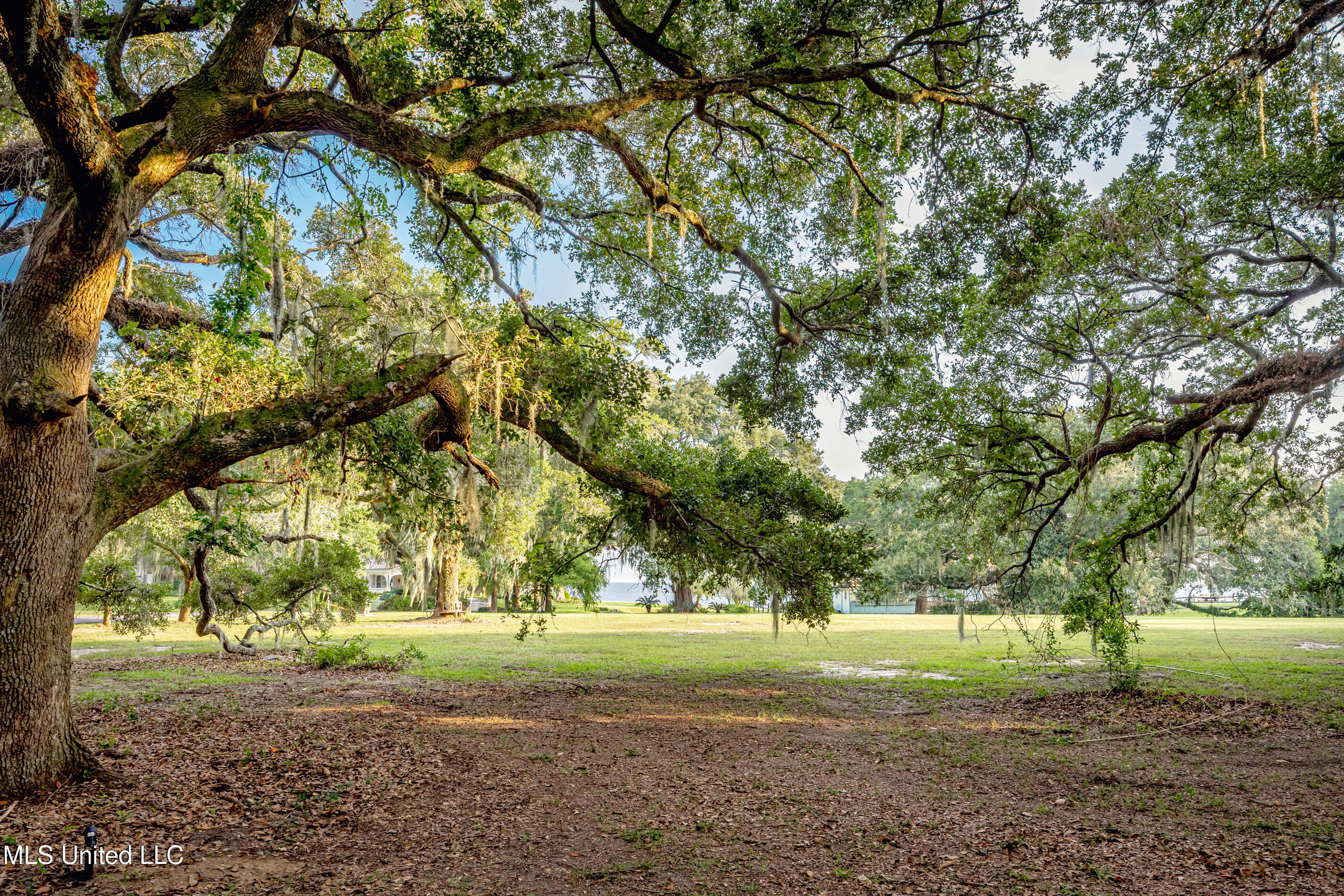 Lot 7 Pointe Aux Chenes Road Ocean Springs, MS 39564 - Photo 12 of 35 5F5A5265-2
