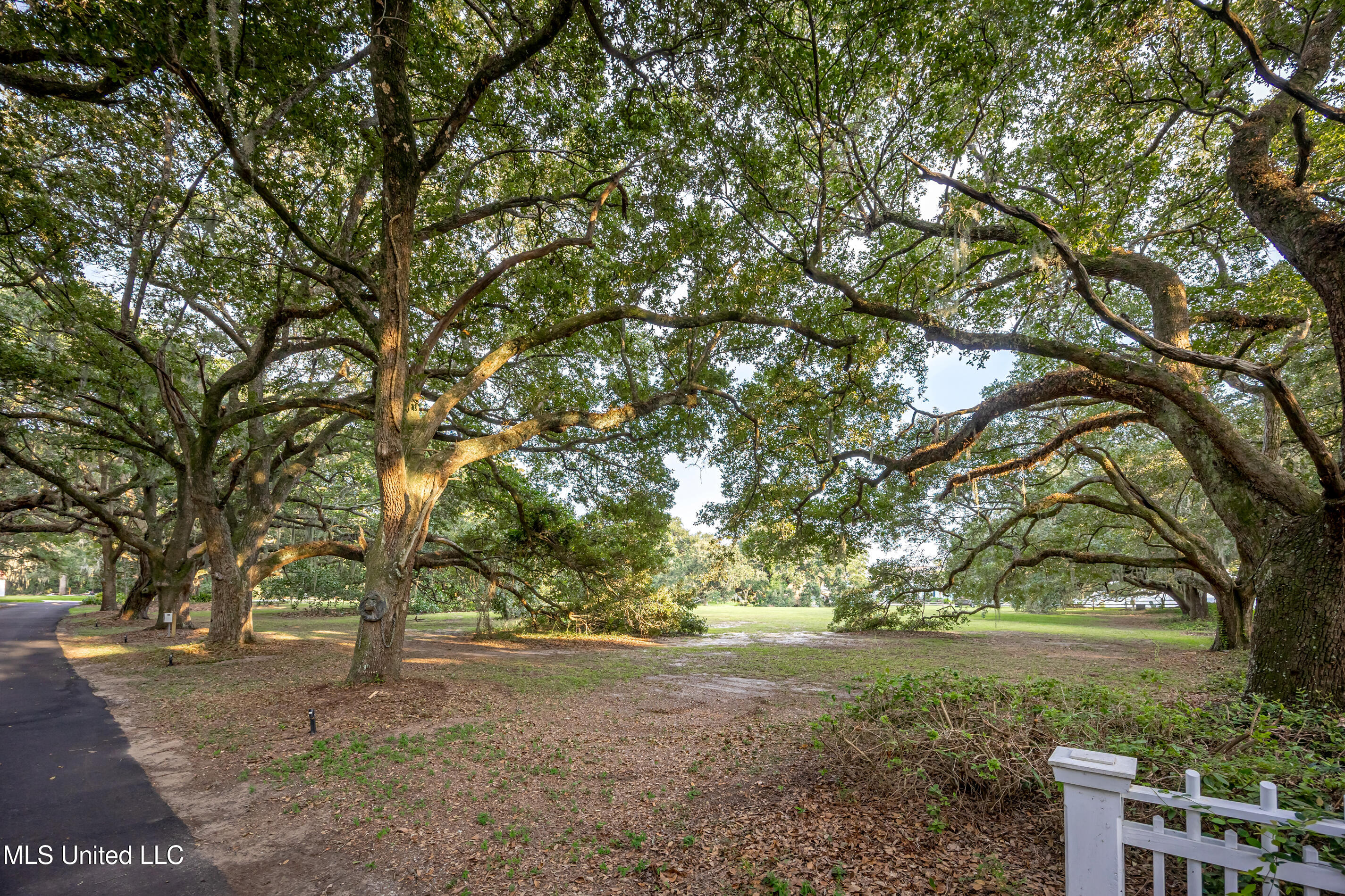 Lot 7 Pointe Aux Chenes Road Ocean Springs, MS 39564 - Photo 14 of 35 5F5A5154-2