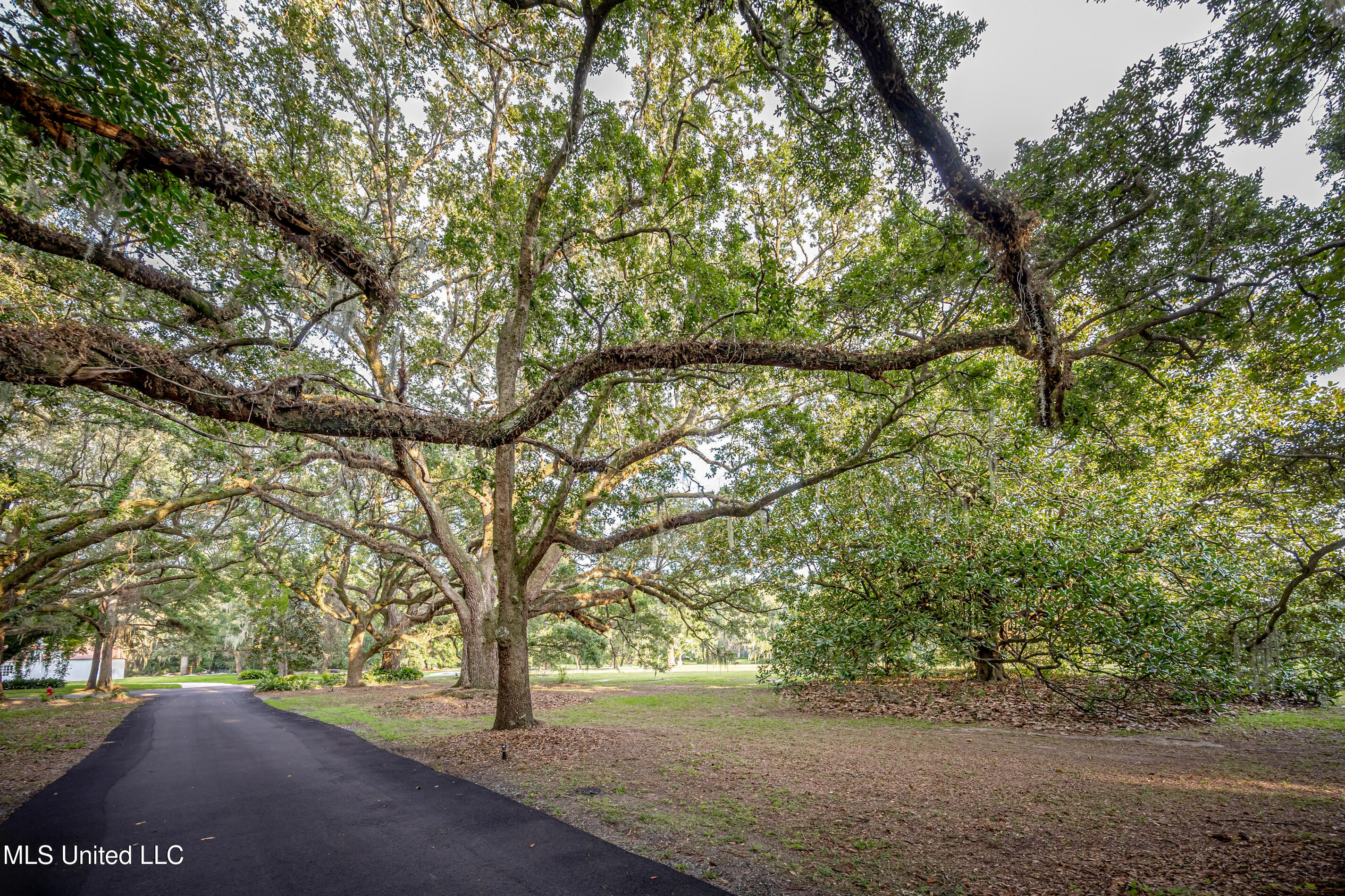 Lot 7 Pointe Aux Chenes Road Ocean Springs, MS 39564 - Photo 16 of 35 5F5A5145-2
