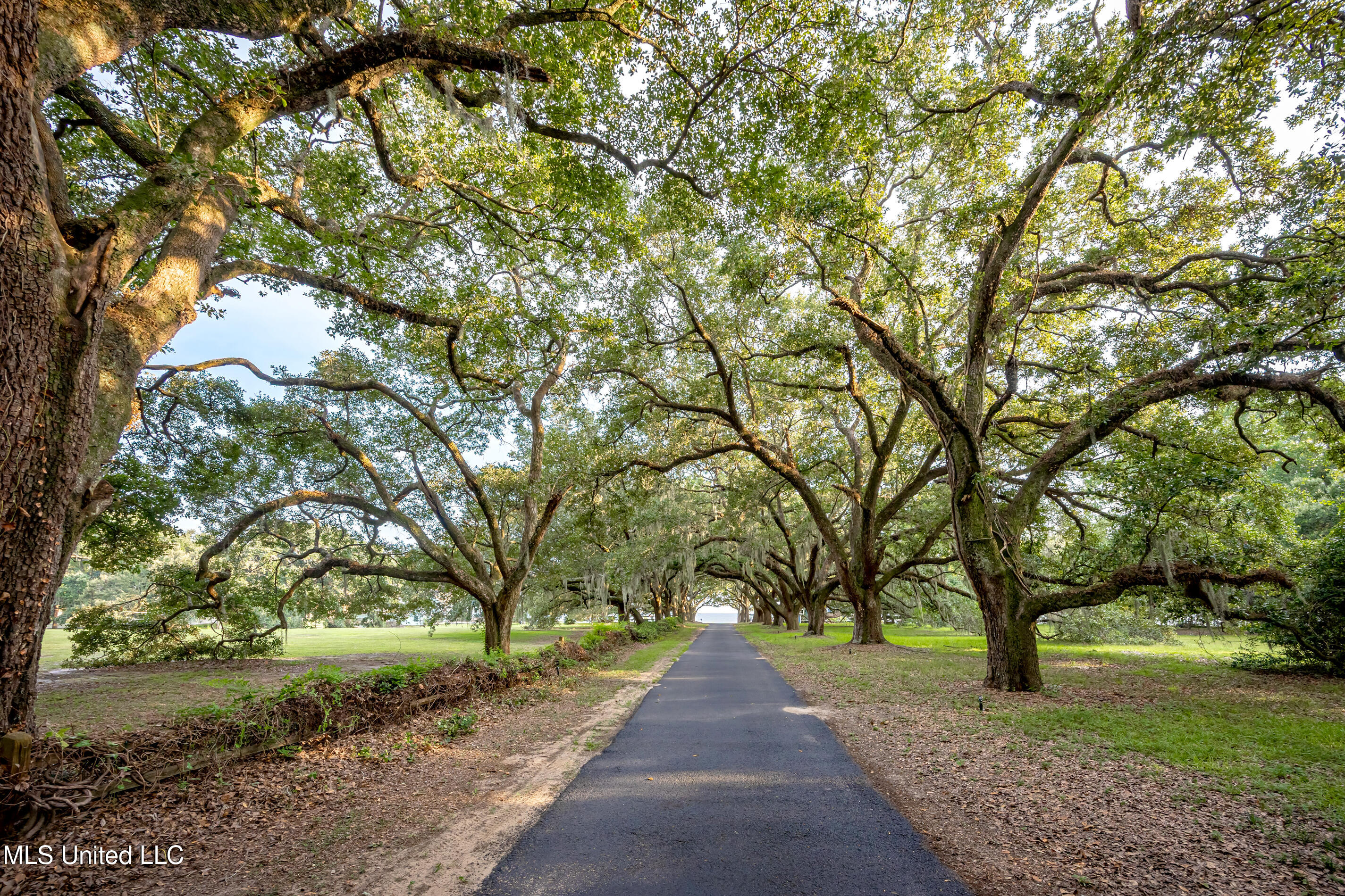 Lot 7 Pointe Aux Chenes Road Ocean Springs, MS 39564 - Photo 18 of 35 5F5A5157-2
