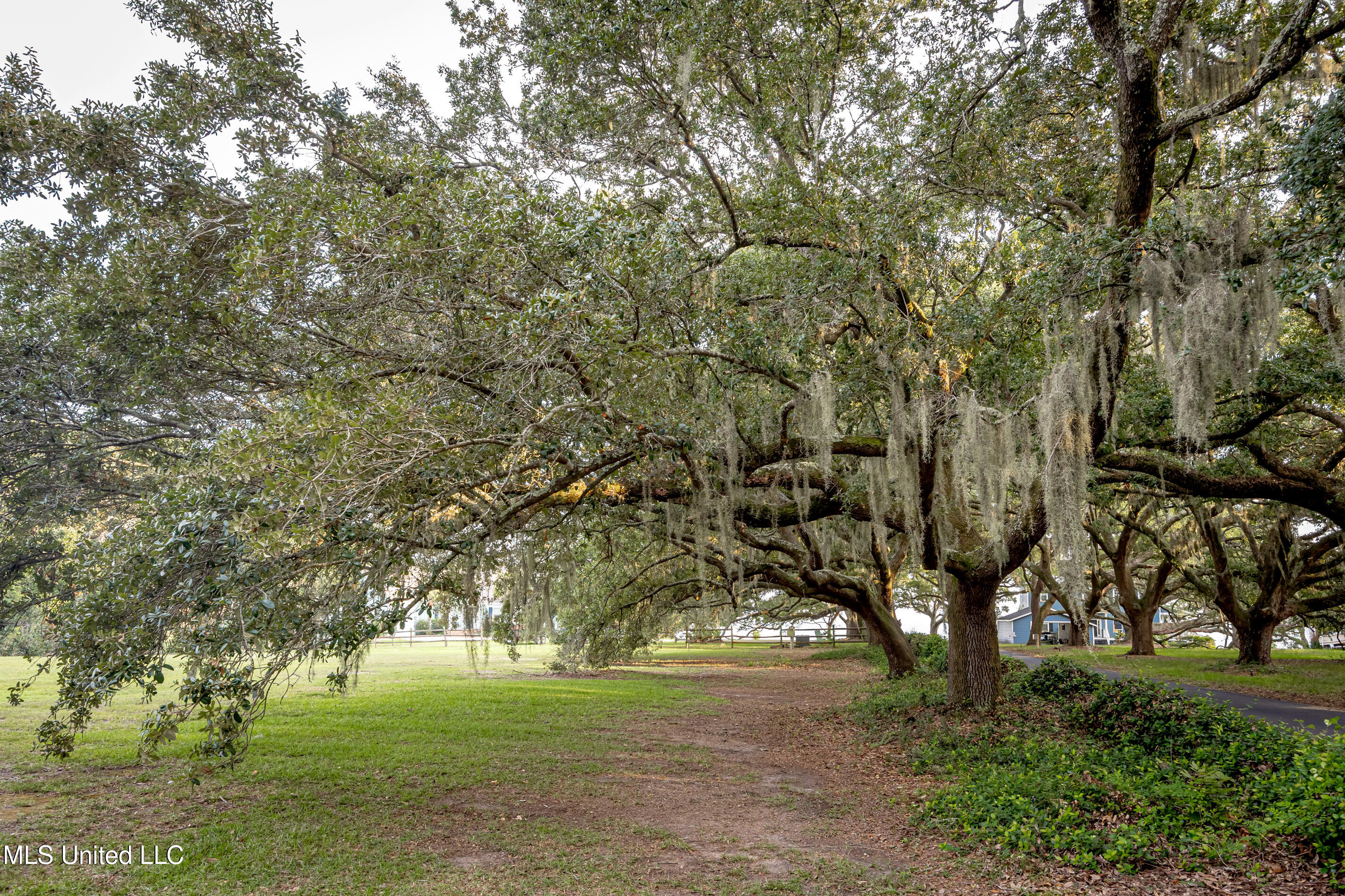 Lot 7 Pointe Aux Chenes Road Ocean Springs, MS 39564 - Photo 19 of 35 5F5A5169-2