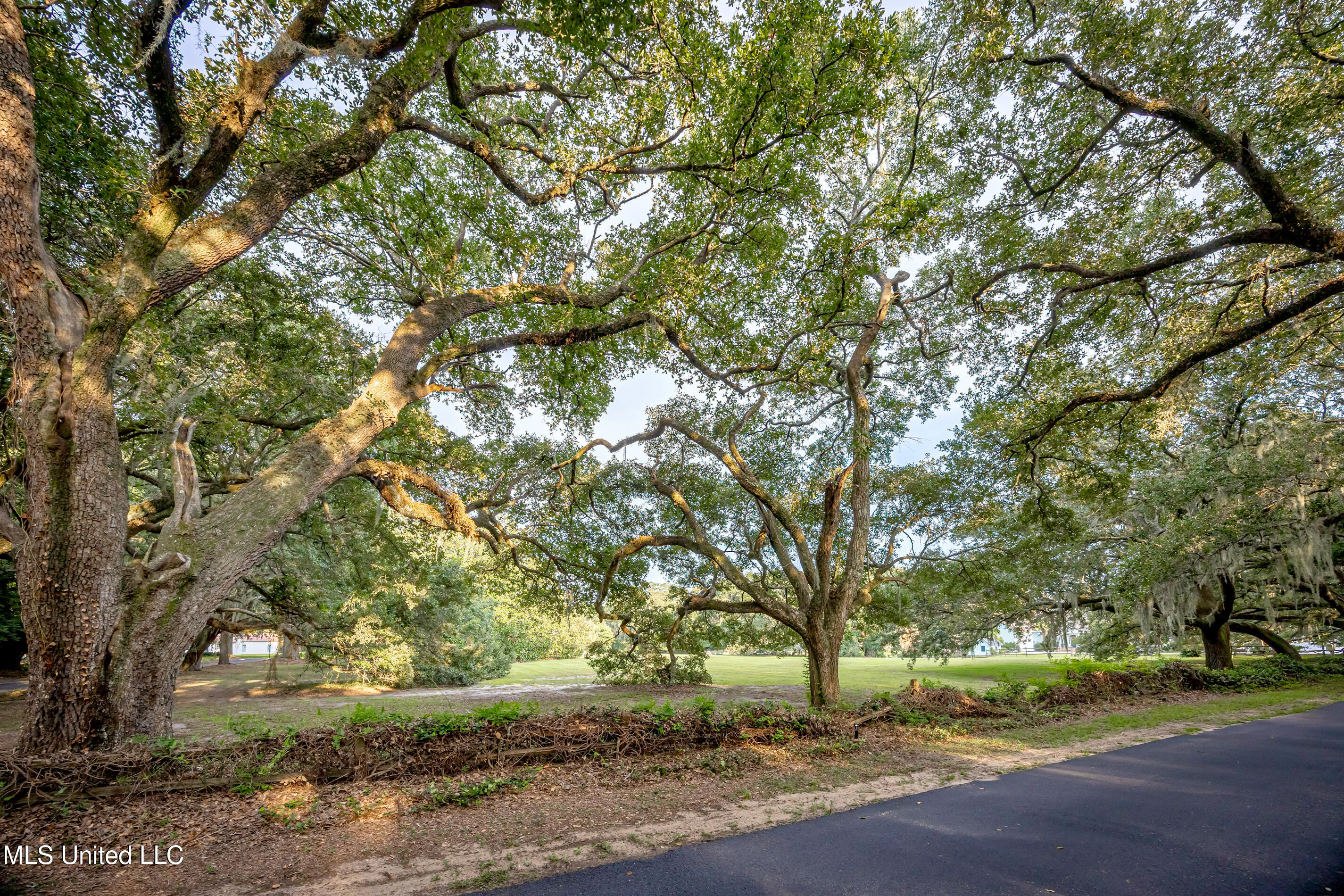 Lot 7 Pointe Aux Chenes Road Ocean Springs, MS 39564 - Photo 2 of 35 5F5A5160-2