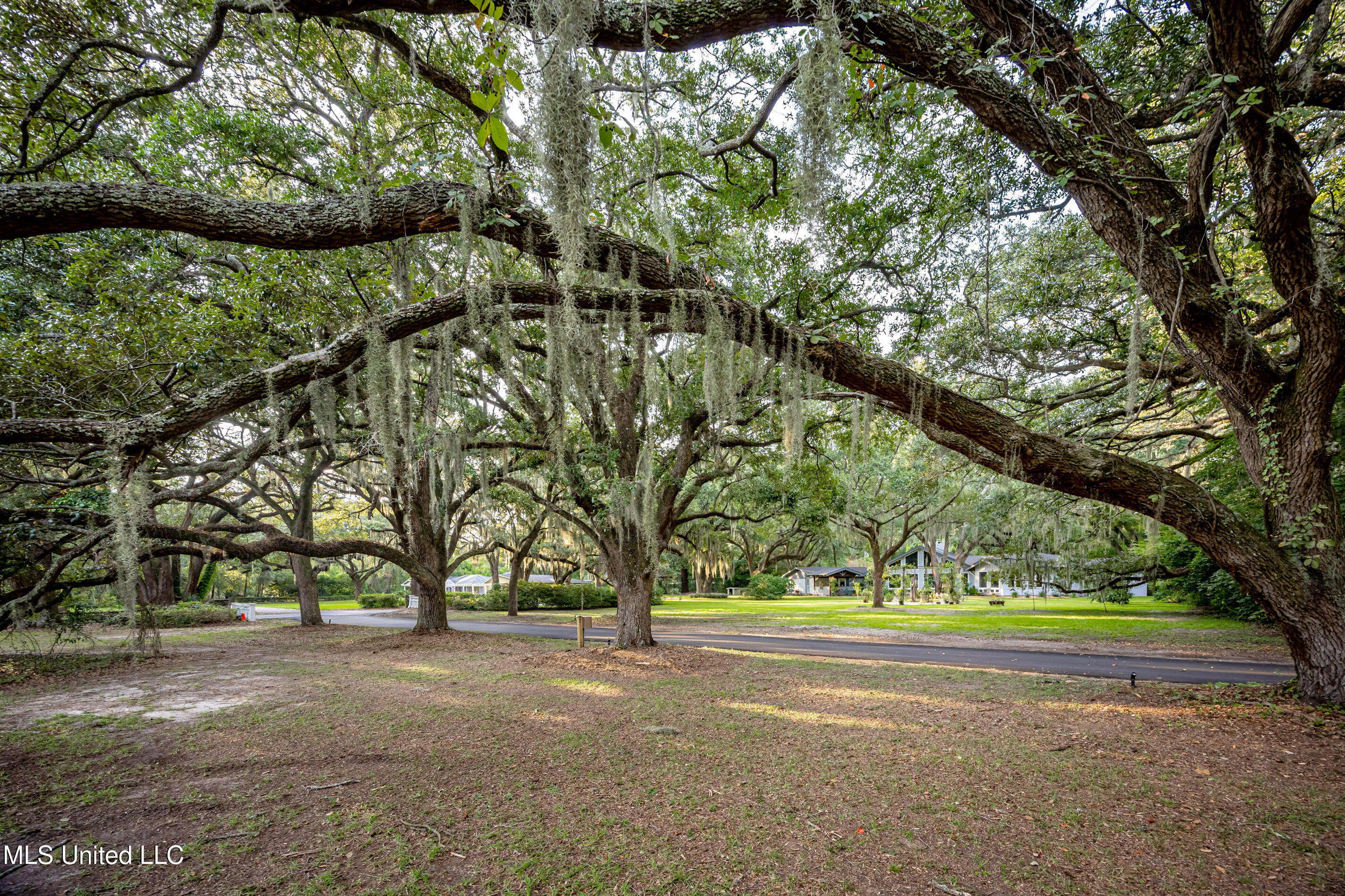 Lot 7 Pointe Aux Chenes Road Ocean Springs, MS 39564 - Photo 22 of 35 5F5A5241-2