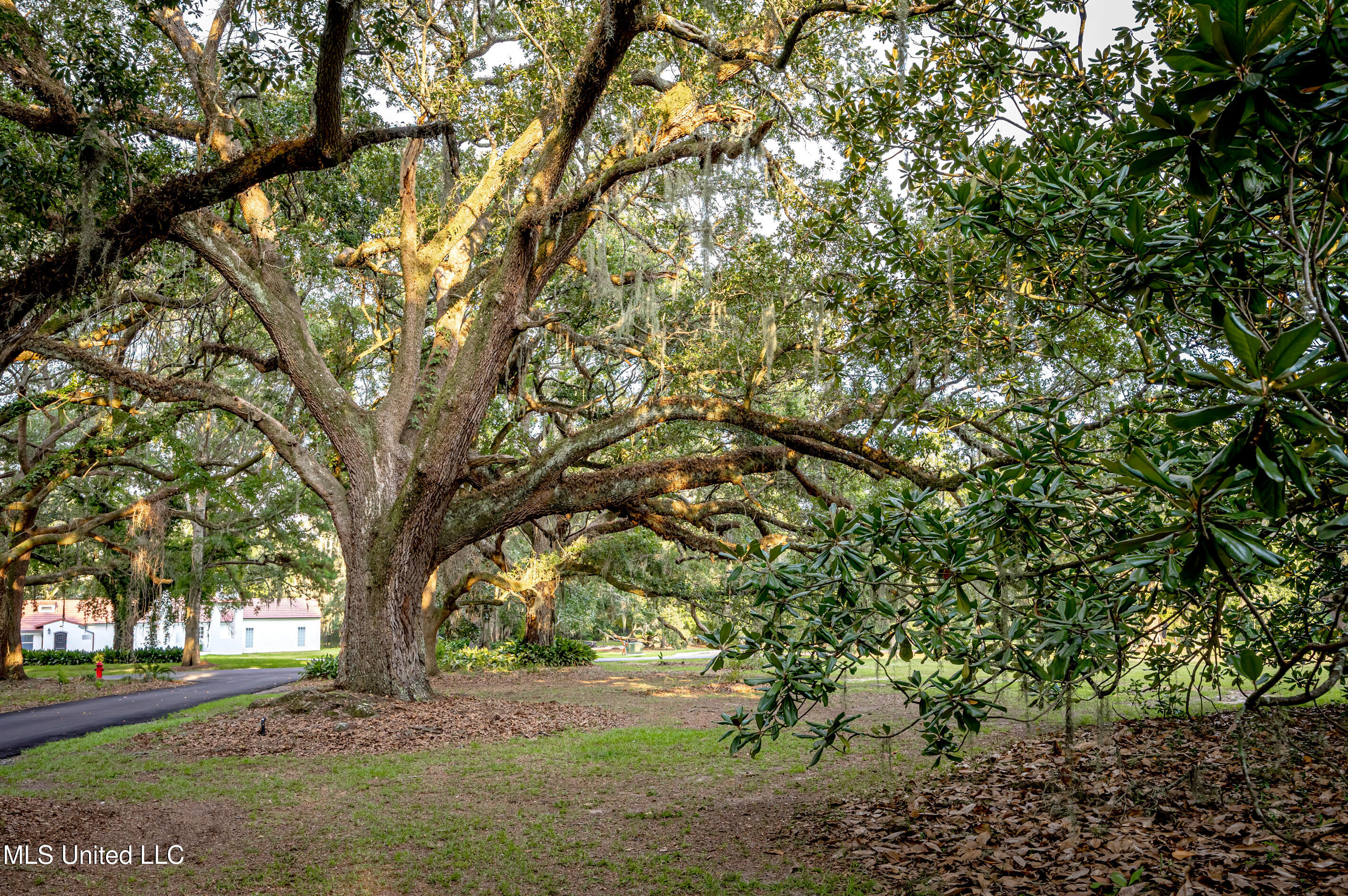 Lot 7 Pointe Aux Chenes Road Ocean Springs, MS 39564 - Photo 23 of 35 5F5A5244-2