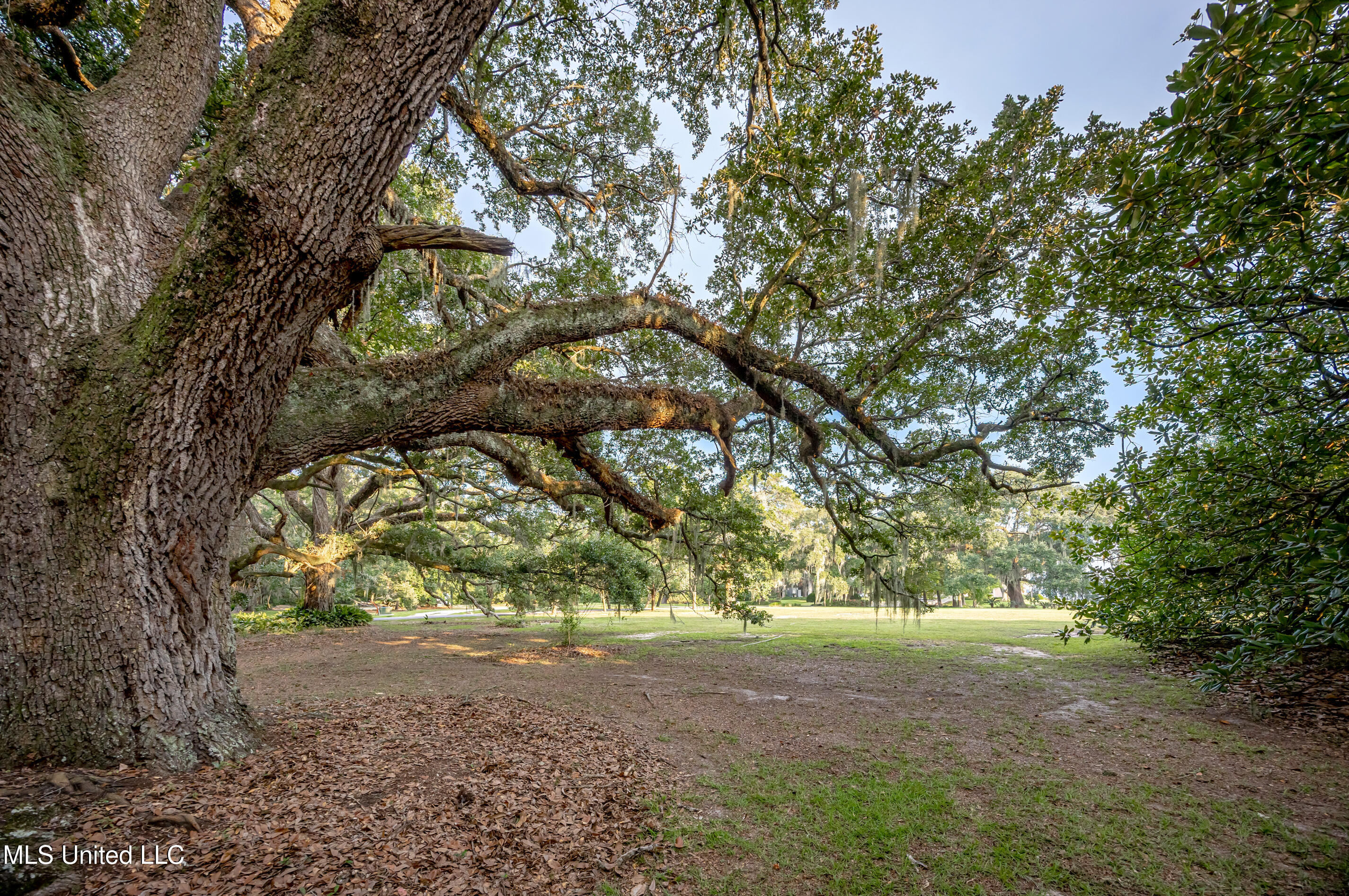 Lot 7 Pointe Aux Chenes Road Ocean Springs, MS 39564 - Photo 24 of 35 5F5A5247-2