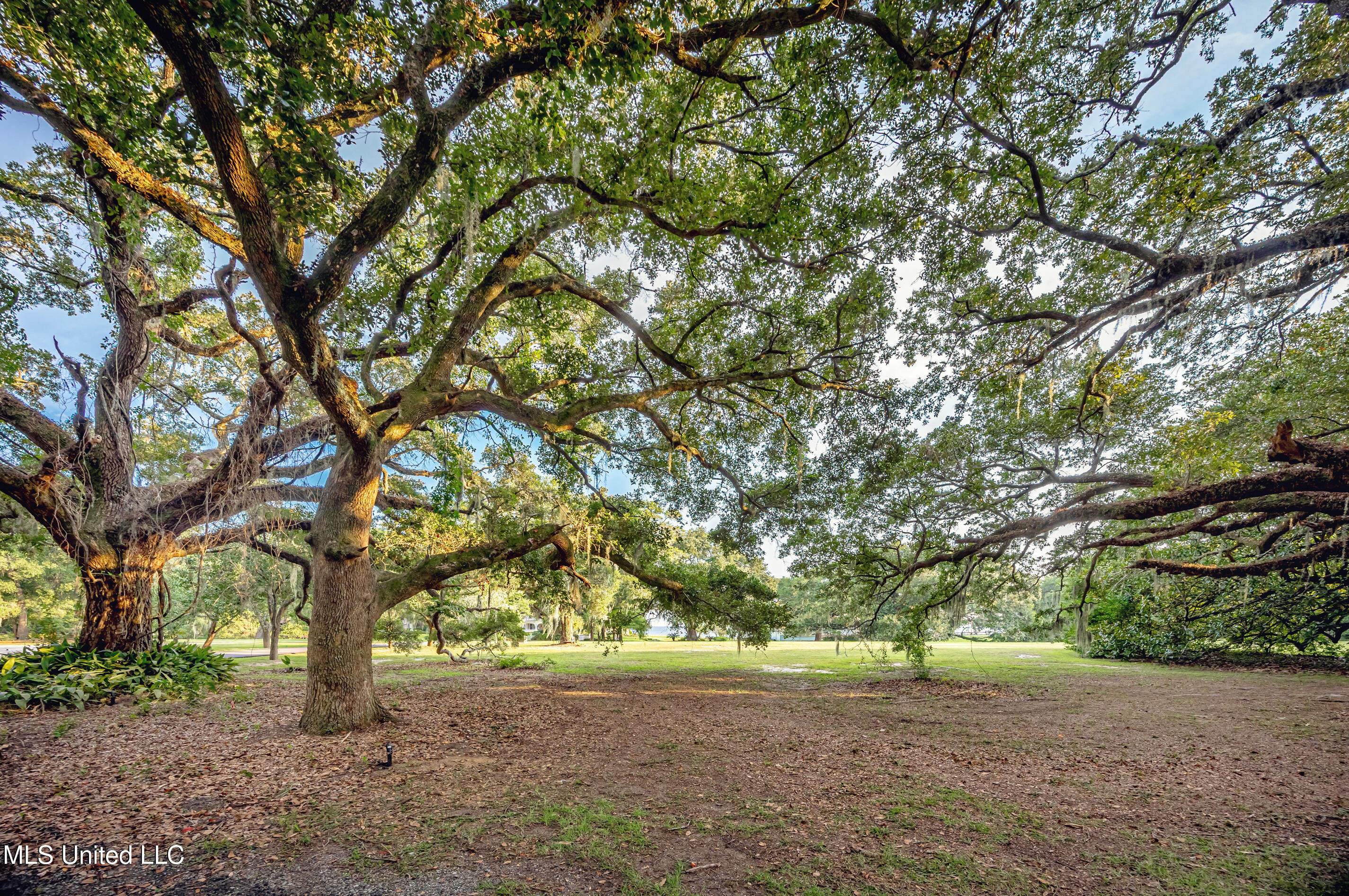 Lot 7 Pointe Aux Chenes Road Ocean Springs, MS 39564 - Photo 25 of 35 5F5A5262-2