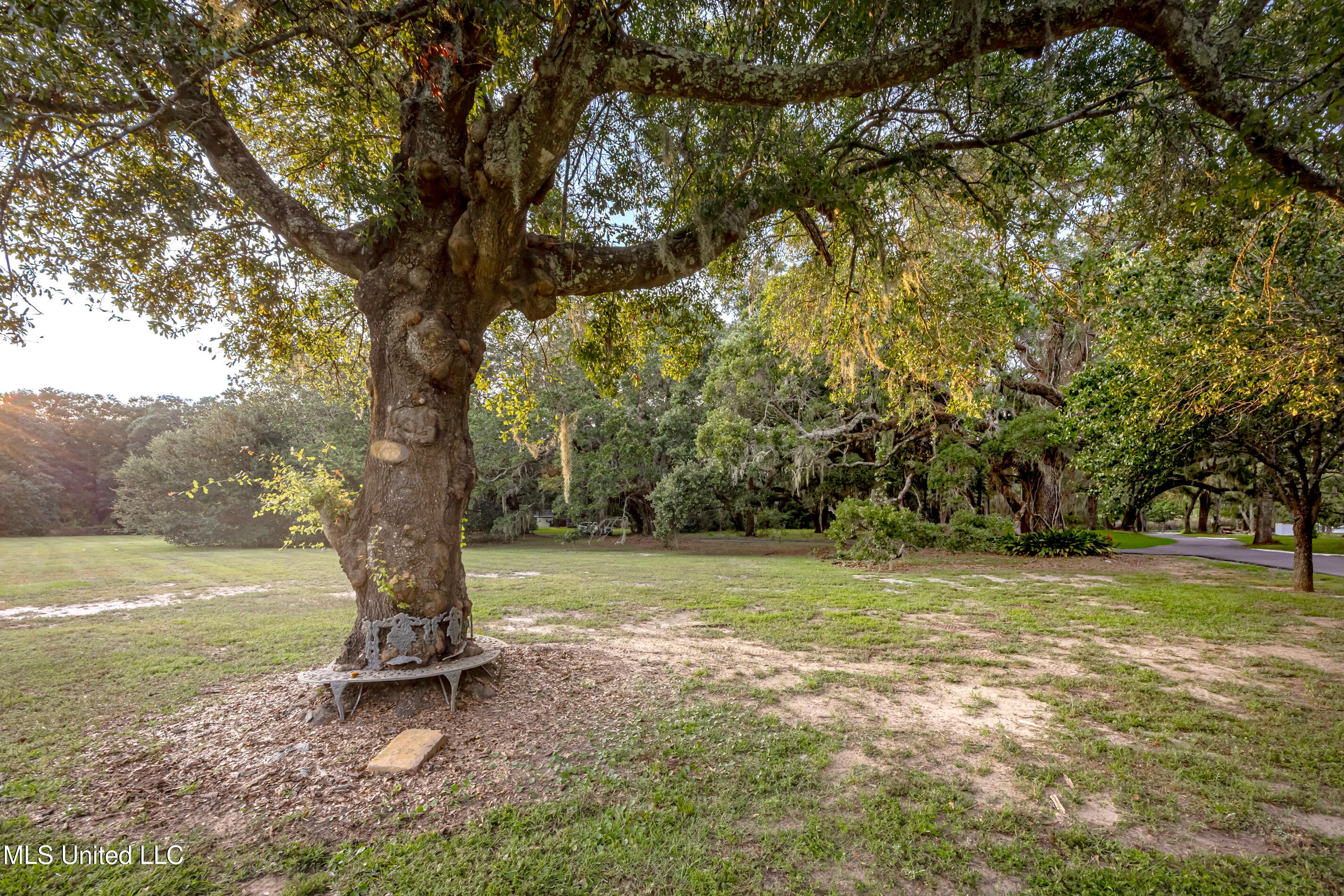 Lot 7 Pointe Aux Chenes Road Ocean Springs, MS 39564 - Photo 27 of 35 5F5A5590-2