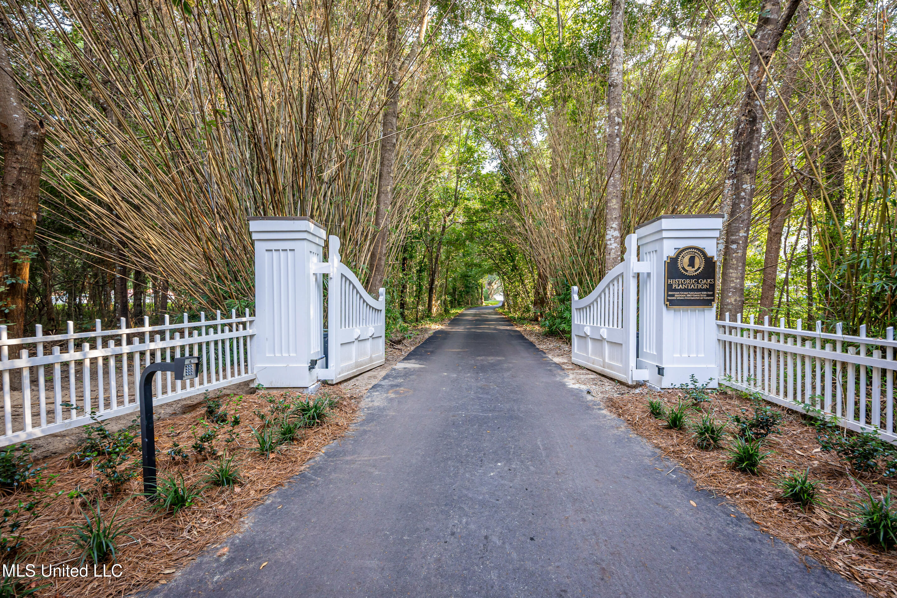 Lot 7 Pointe Aux Chenes Road Ocean Springs, MS 39564 - Photo 30 of 35 5F5A5136-2s