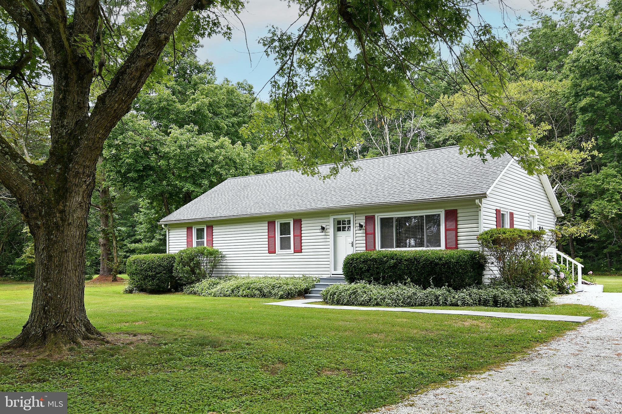 Mature trees throughout property