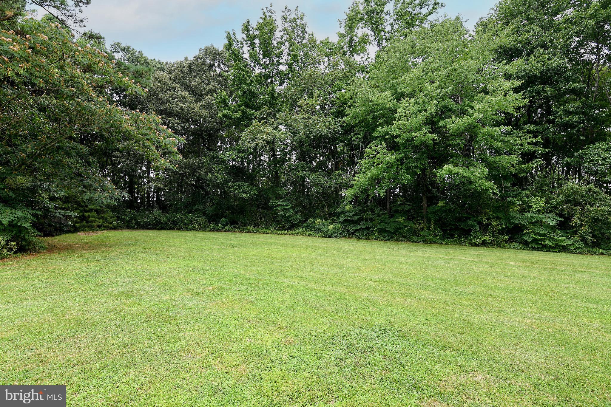 4234 Steele Neck Road Vienna, MD 21869 - Photo 13 of 39 Park-like Setting