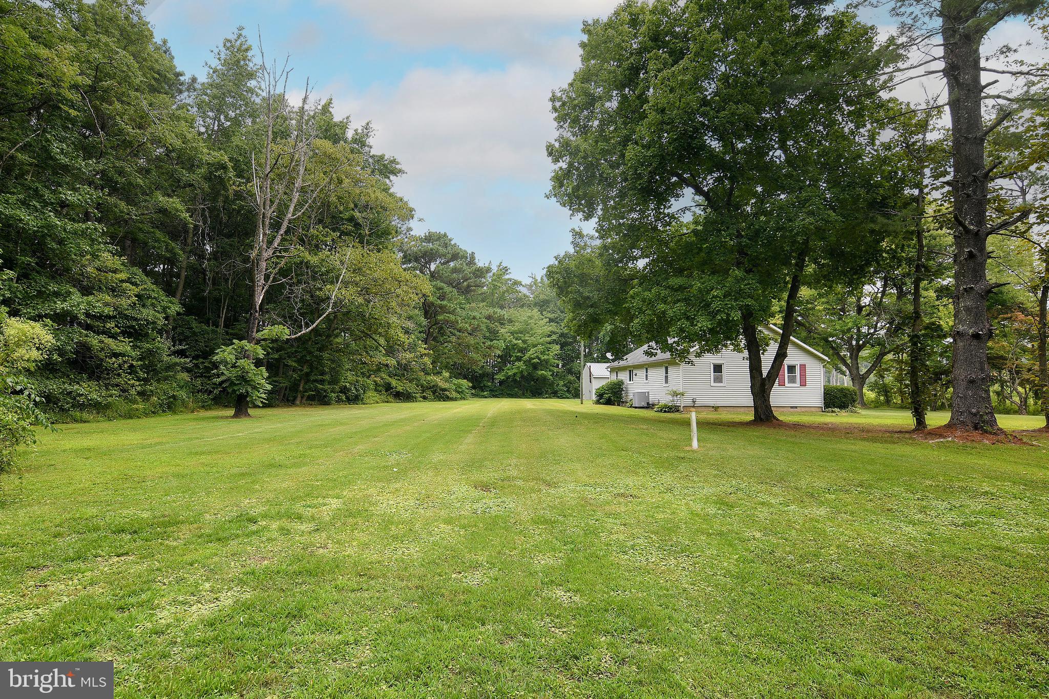 4234 Steele Neck Road Vienna, MD 21869 - Photo 10 of 39 Wooded lot in quiet neighborhood