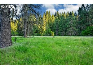 50000 Highway 62 Prospect, OR 97536 - Photo 4 of 38