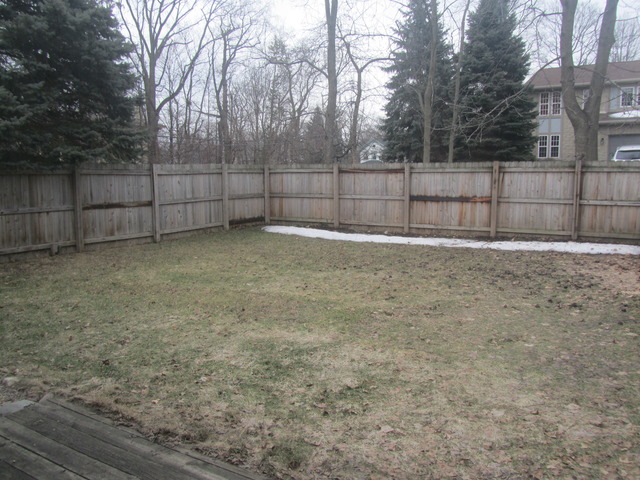 438 Elm Street Batavia, IL 60510 - Photo 10 of 12