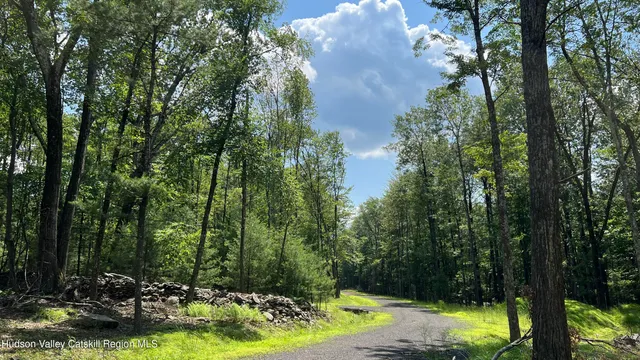 a view of a park with large trees