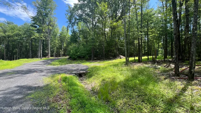 a view of outdoor space with green space