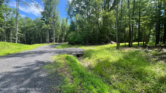 a view of a fire pit with large trees