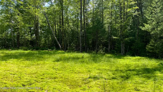 a view of yard with grass and trees