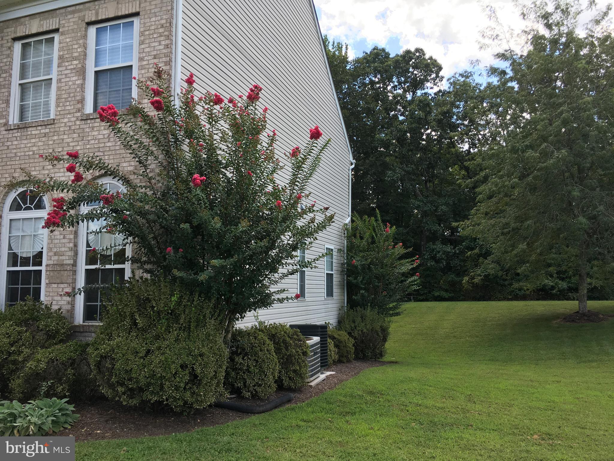 3919 Woodreed Drive Brandywine, MD 20613 - Photo 84 of 88 Side Yard