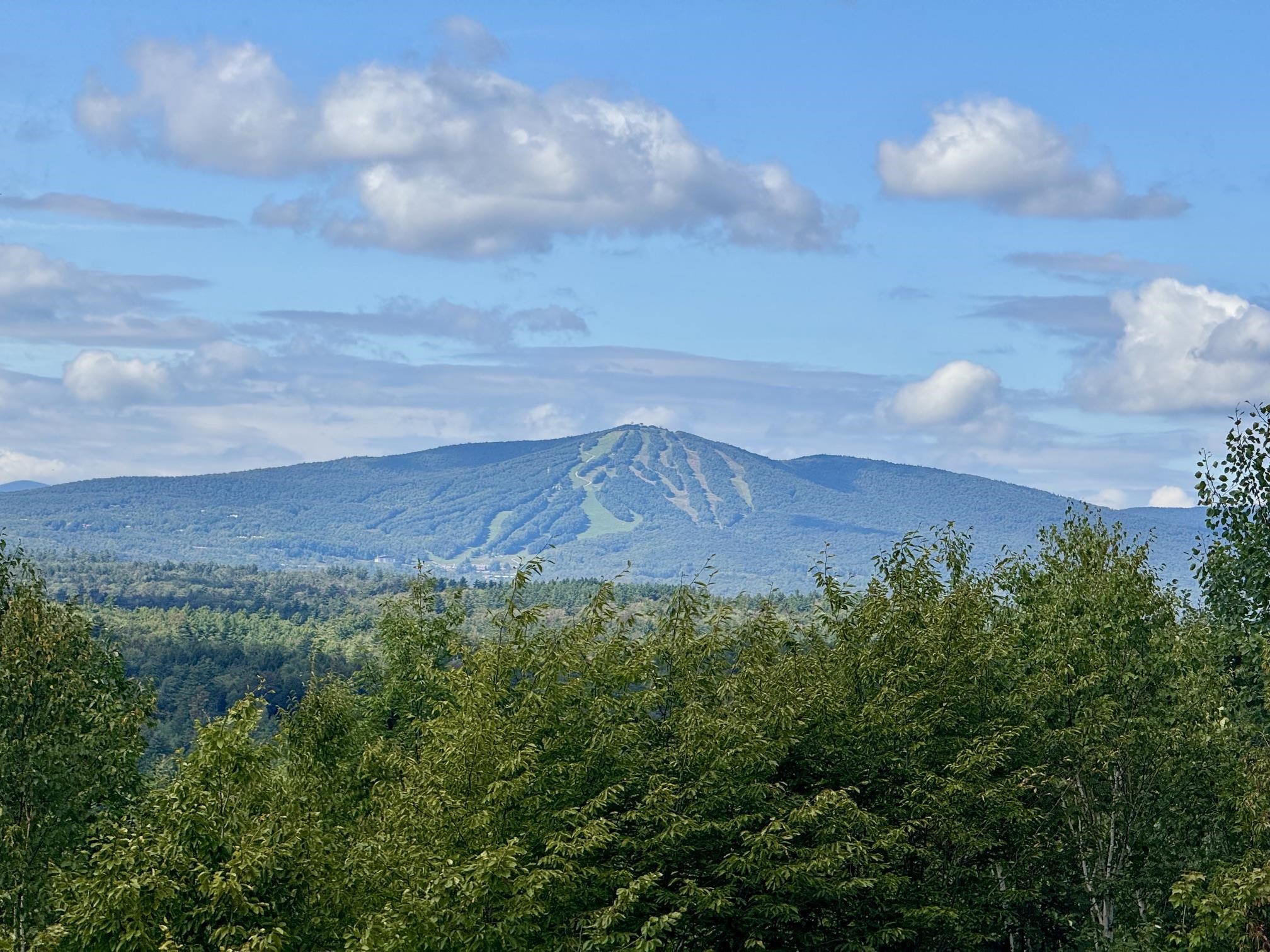 59 Garden Loop Road Winhall, VT 05340 - Photo 1 of 57 Gallery Image 1