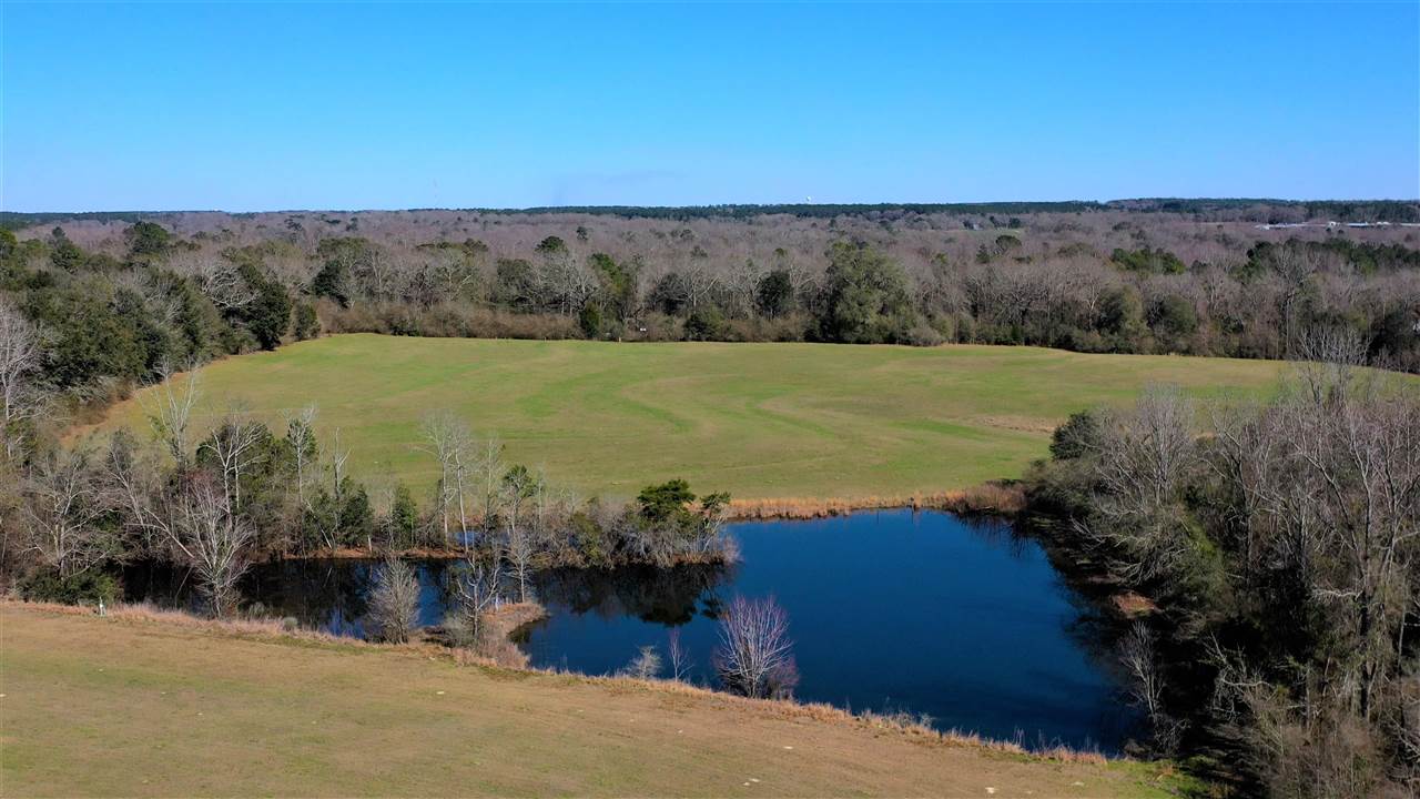 17132 Horn Hill Road Opp, AL 36467 - Photo 40 of 43 Gallery Image 40