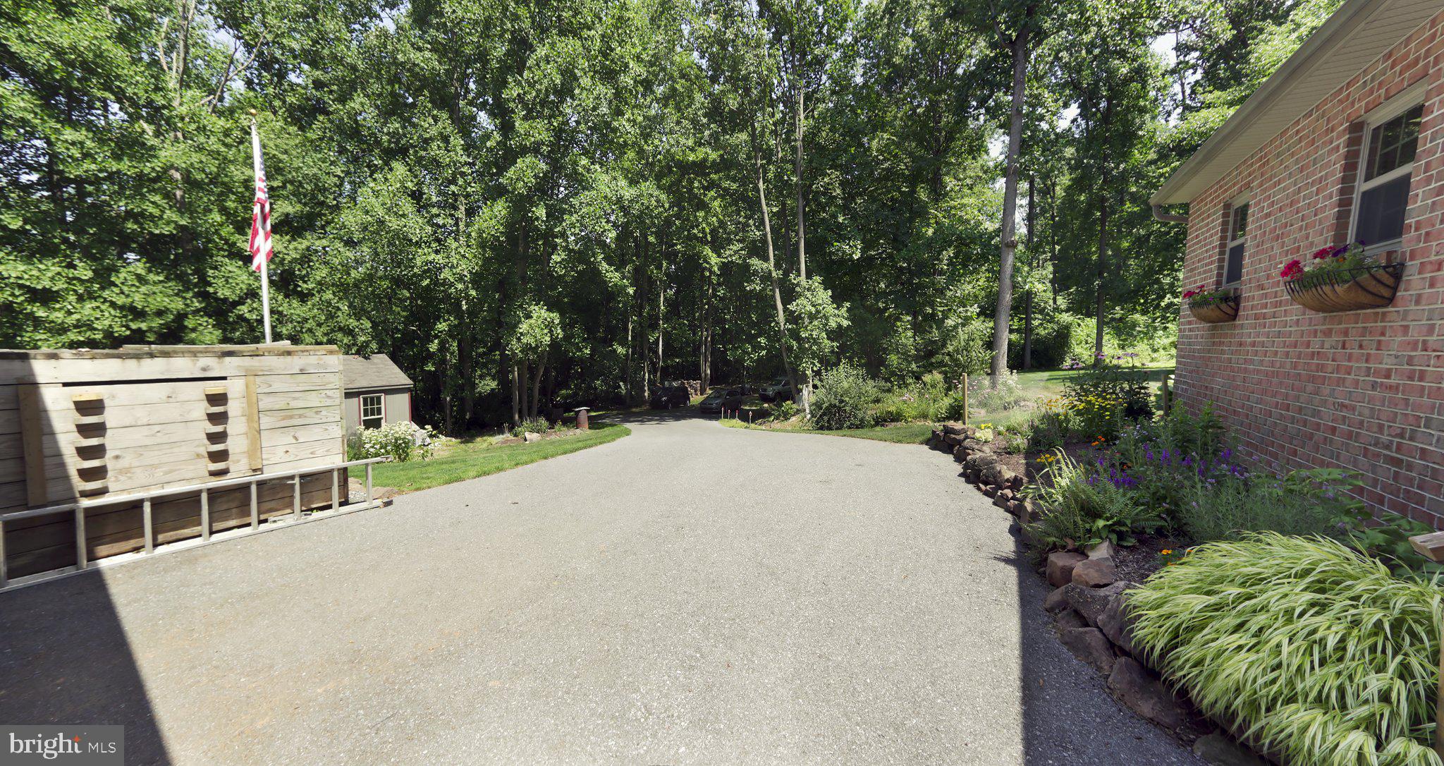 1580 Girl Scout Road Denver, PA 17517 - Photo 41 of 47 Serene driveway amidst lush greenery.