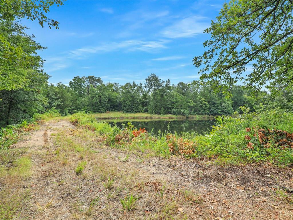 37100 County Road Sumner, TX 75486 - Photo 13 of 40 a view of lake with green space