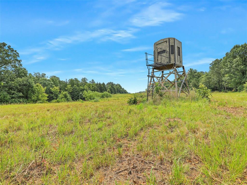 37100 County Road Sumner, TX 75486 - Photo 14 of 40 a view of a lake with a big yard